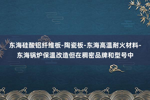 东海硅酸铝纤维板-陶瓷板-东海高温耐火材料-东海锅炉保温改造但在稠密品牌和型号中